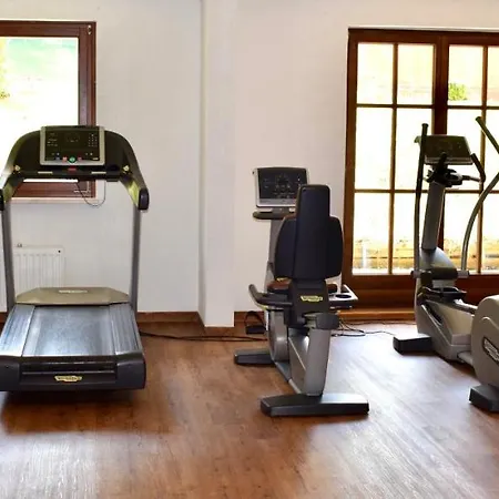 Apartament 307 Gosau